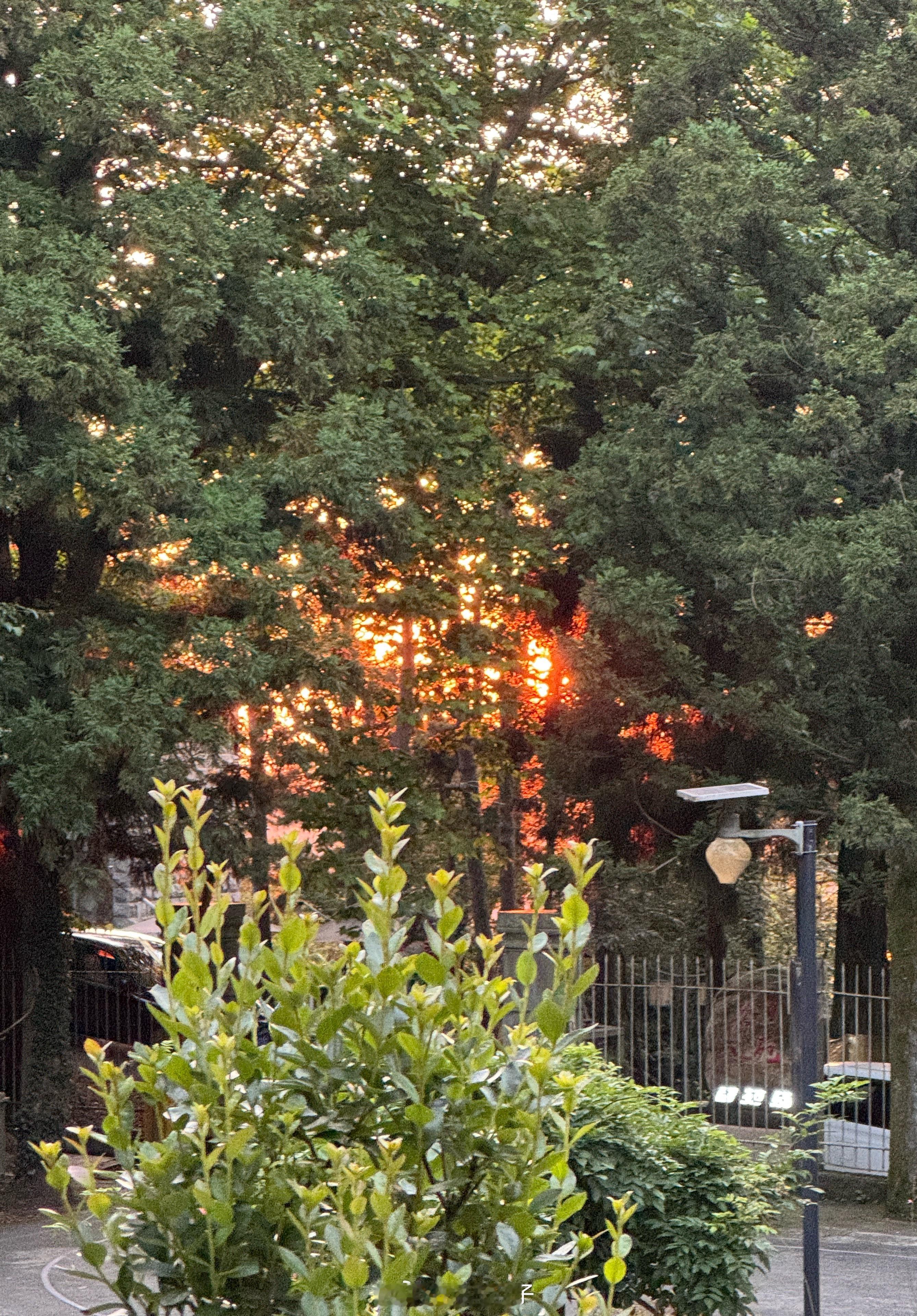 院子里的夕阳 