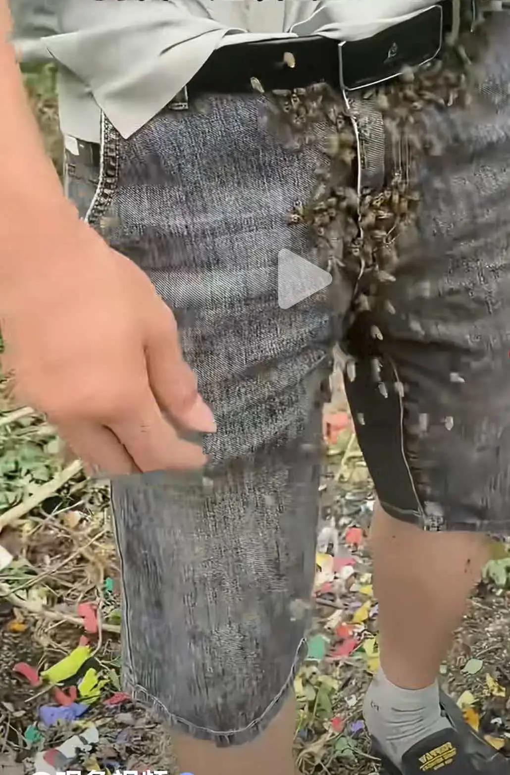 大哥上坟被蜜蜂“围堵”，网友神预言：别只顾着哭，赶紧查查血糖！这可不是迷信！
