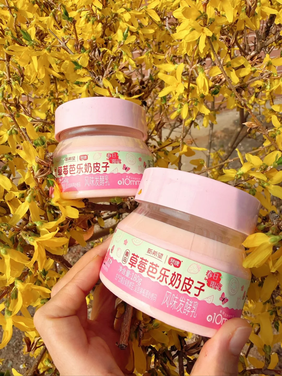 琴牌你真的太会了……