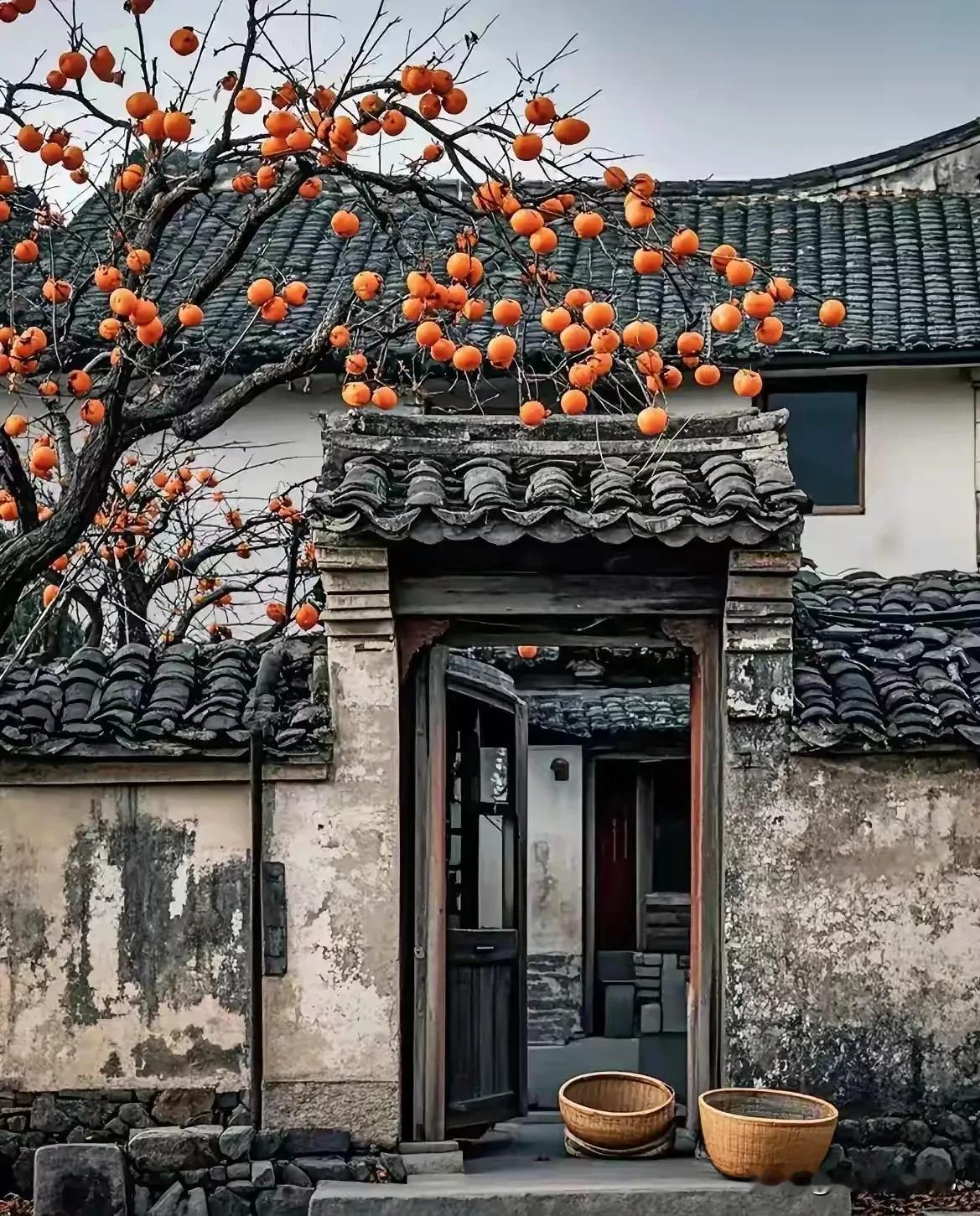 人去柿在好凄凉，
年年弯腰迎摘郎。
欢声笑语已不在，
下句应该是……