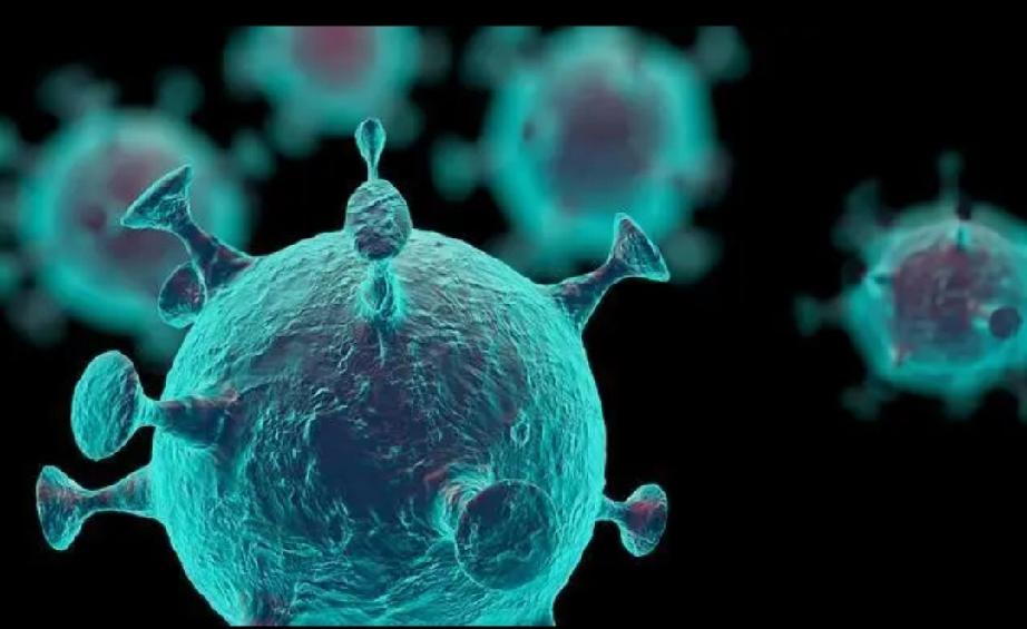 印度突发传染病病毒，且该病毒死亡率达到40%-75%，1月24日，印度西孟拉邦暴