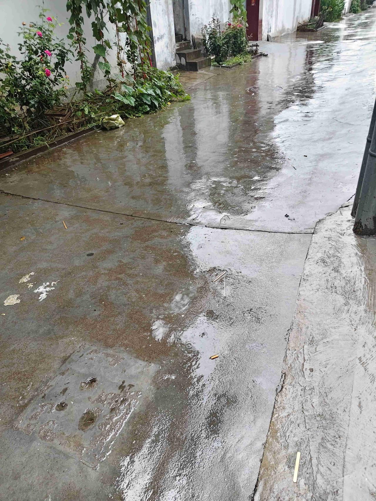 我的今日状态：😭伤心难过
我这里的天气：🌧下雨
上午出门的时候太阳还黏在肩膀