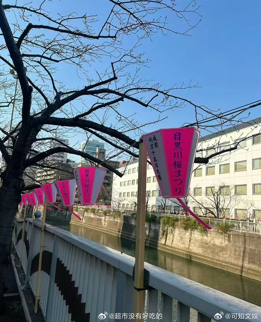 成毅两京十五日外国粉丝应援成毅新剧外国粉丝应援成毅两京十五日外国粉丝应援，挺好挺