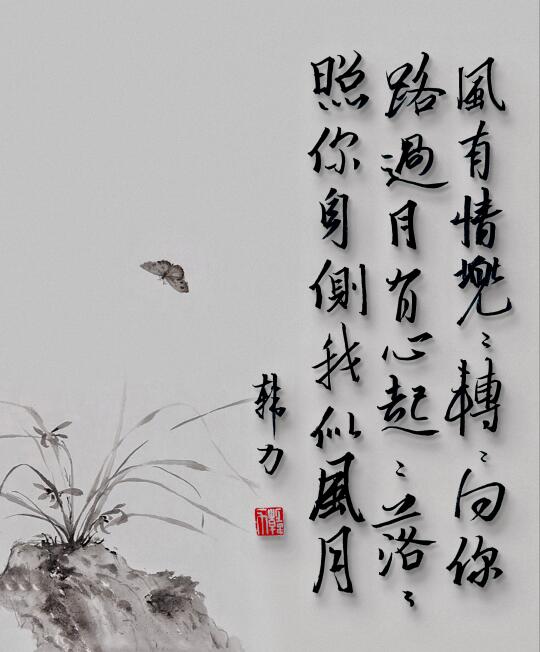 风月有情
