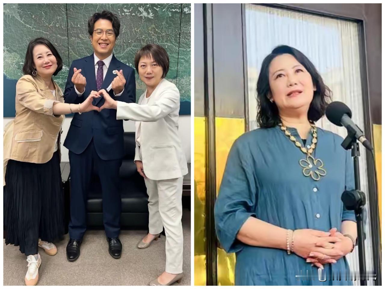 恐怕民进党立委沈伯洋获得提名参选台北市长，最高兴的莫过于被大陆称为“台独”打手帮