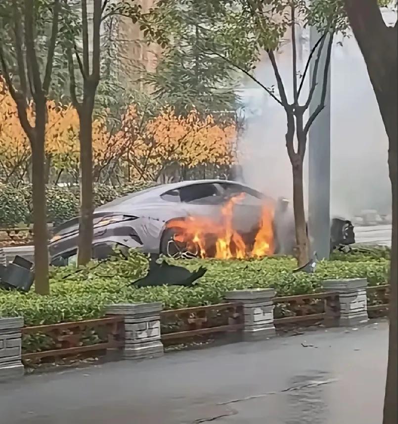 这款网红车保费又该涨了！
早就说了，绿化带不能停车，绿化带不能停车，偏不听，你看