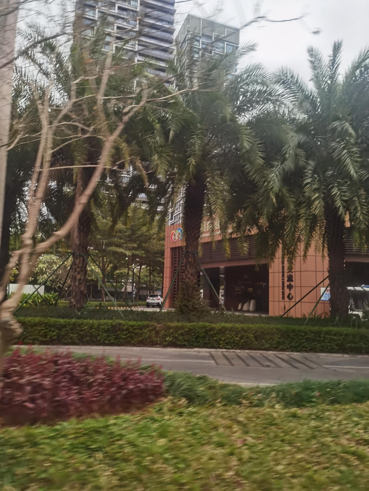 父母其实也是偏心的，有的父母甚至还对子女捧高踩低。

我朋友小敏的父母就是这样的