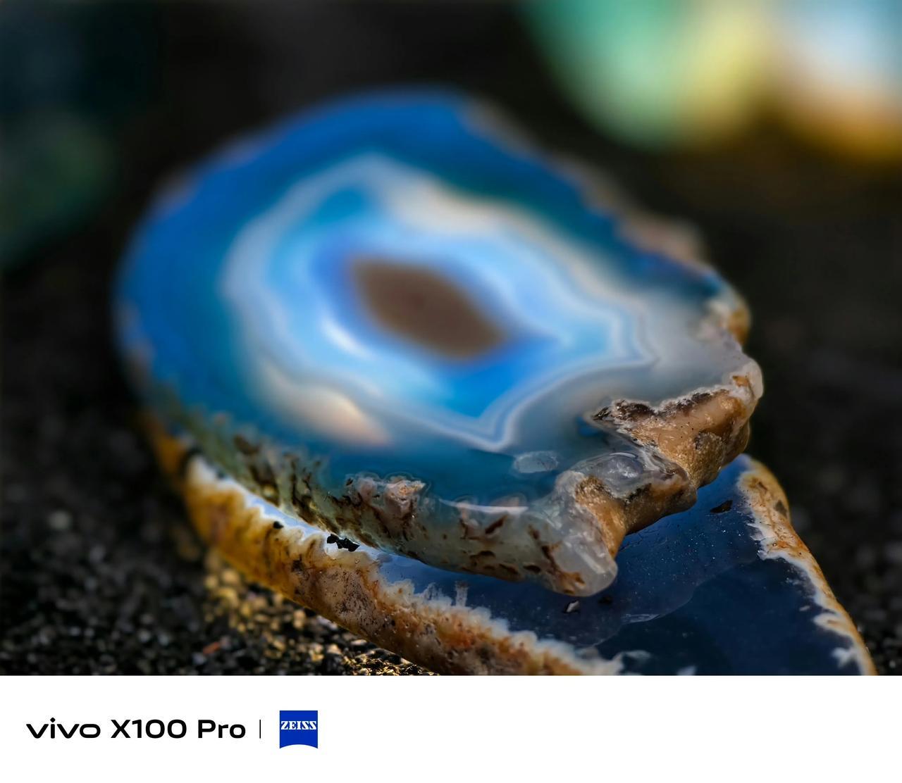 vivo X100 Pro微距样张，这次长焦微距的表现，满分100，大家打几分？