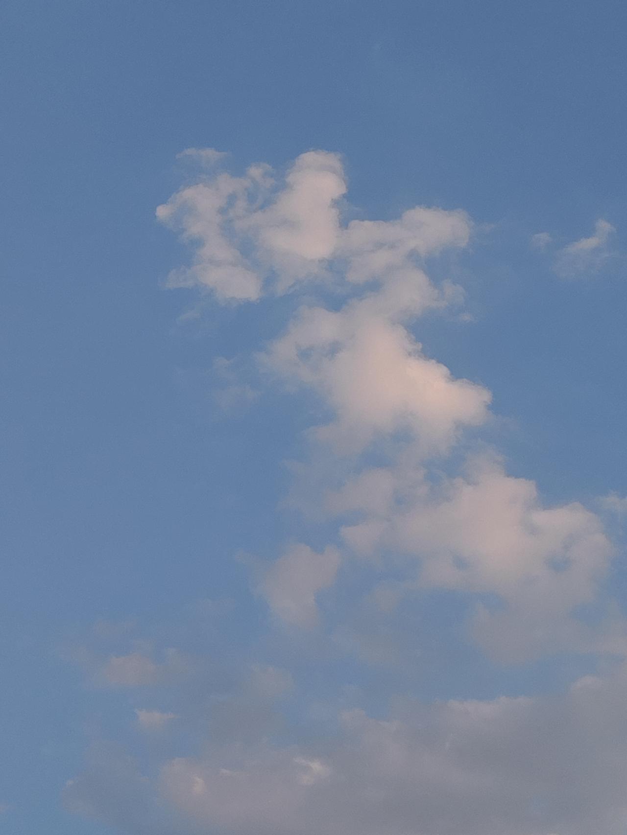 石闵，原姓冉，汉族。他的父亲参加后赵军队，被石虎（羯族）收养，改姓石。石闵骁勇善