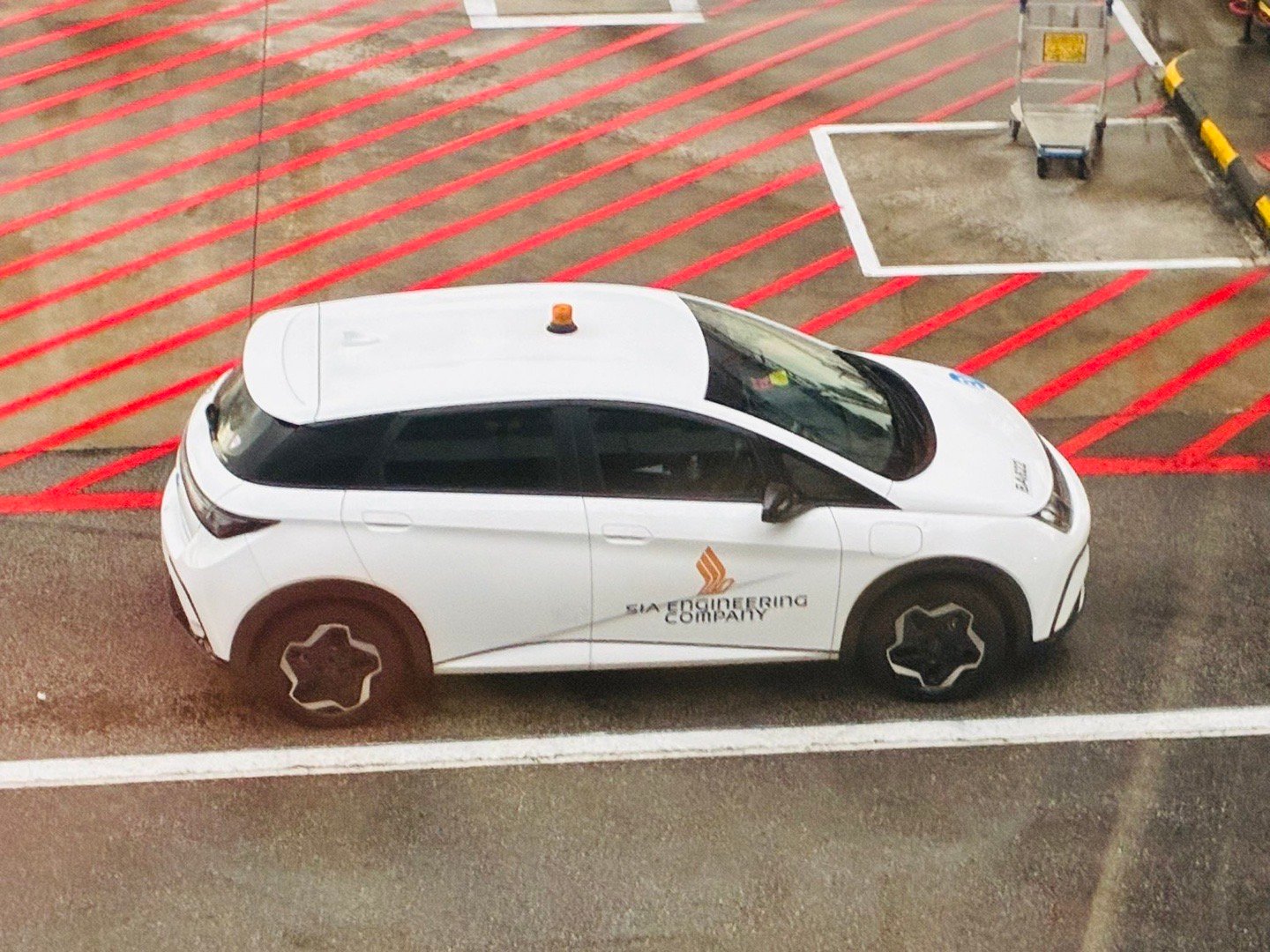 新加坡樟宜机场的工作用车，竟然也换成了比亚迪海豚。电车出海大v聊车比亚迪海豚