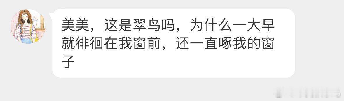 #鸟粉投稿# 是谁在敲打你窗～哦！ 是一只大山雀🙊 ​​​