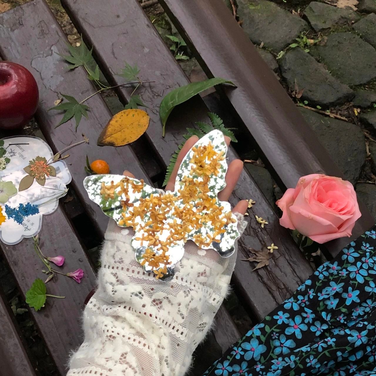 路边的花开得很好看。 