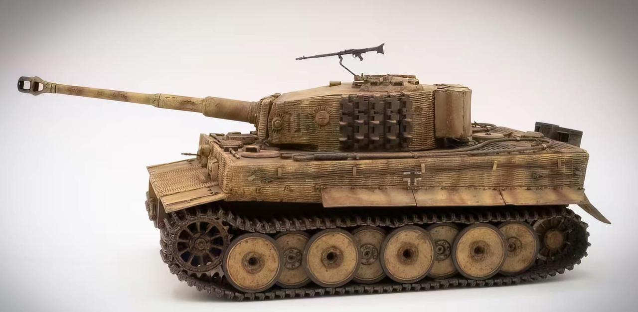 1/35虎式坦克。国外模友作品