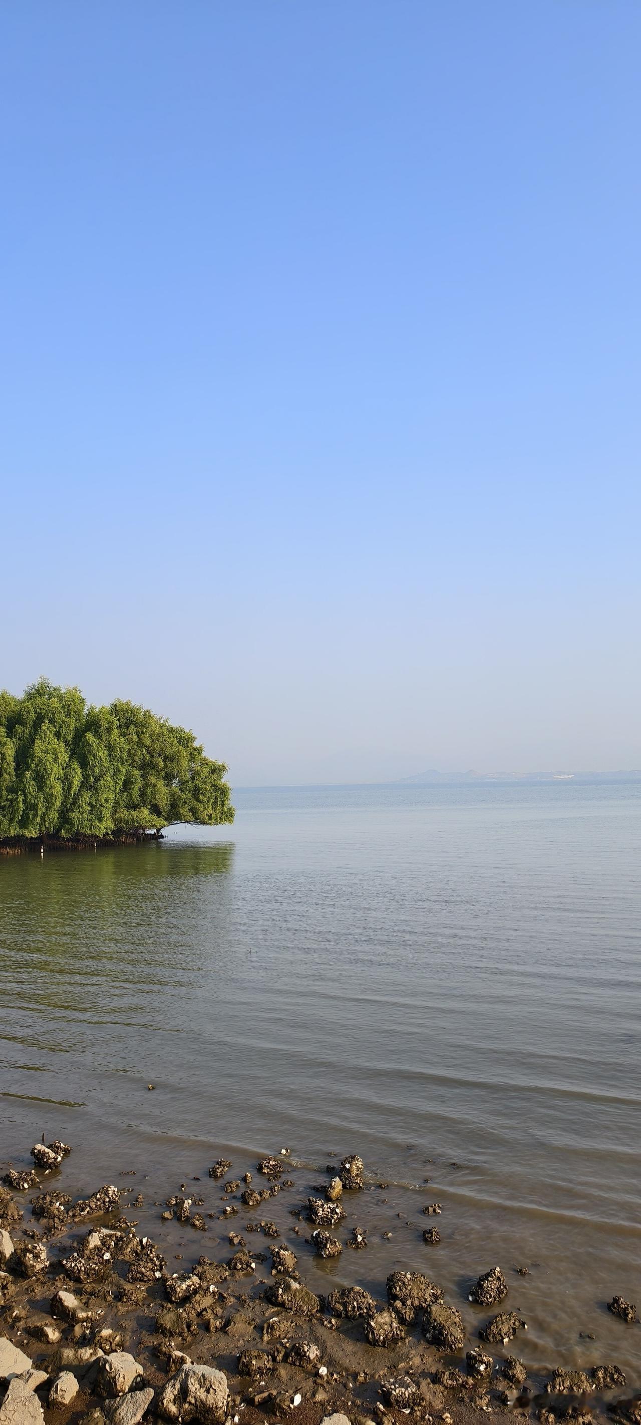 人生三大错误：一是向糊涂人，说了明白话；二是和不靠谱的人，做正经的事；三是和无情
