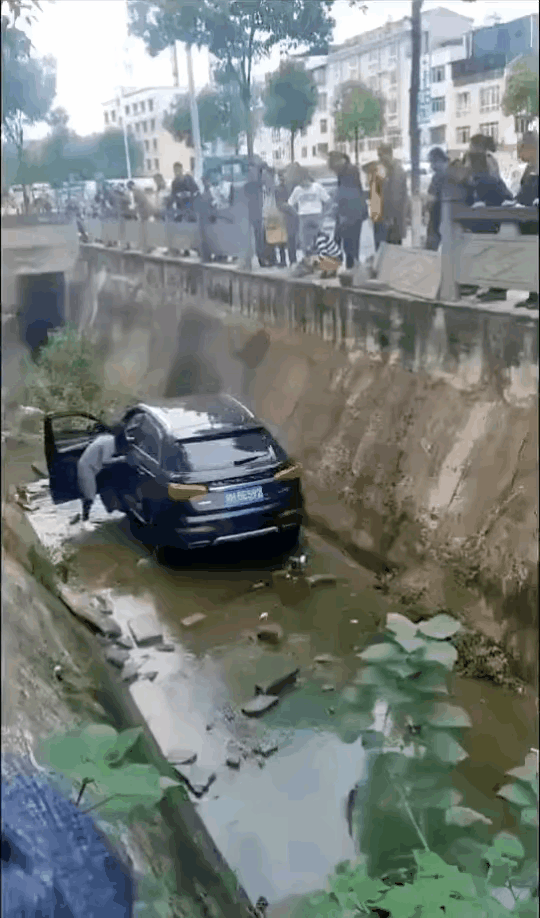 我姐昨天买的新车，在回家的路上直接冲下去的……