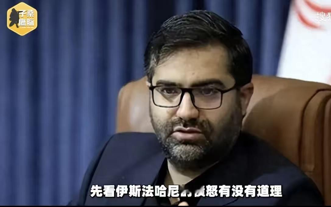 伊朗吐槽中国车“又烂又贵”？

8月16日，伊朗副总统伊斯梅尔在接受国内伊朗国家