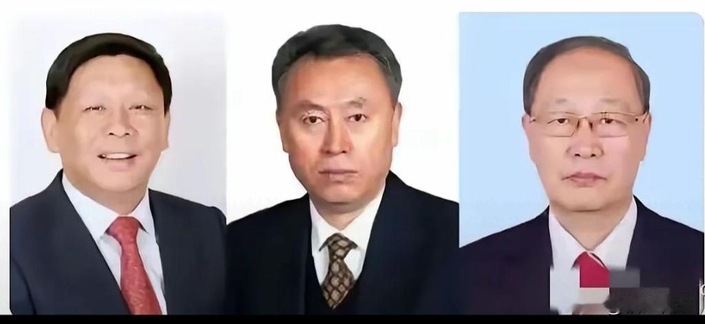 近日，工程院3名院士被除名，看这消息，我心痛惜不已。
一位是，雷达专家，曾任中国