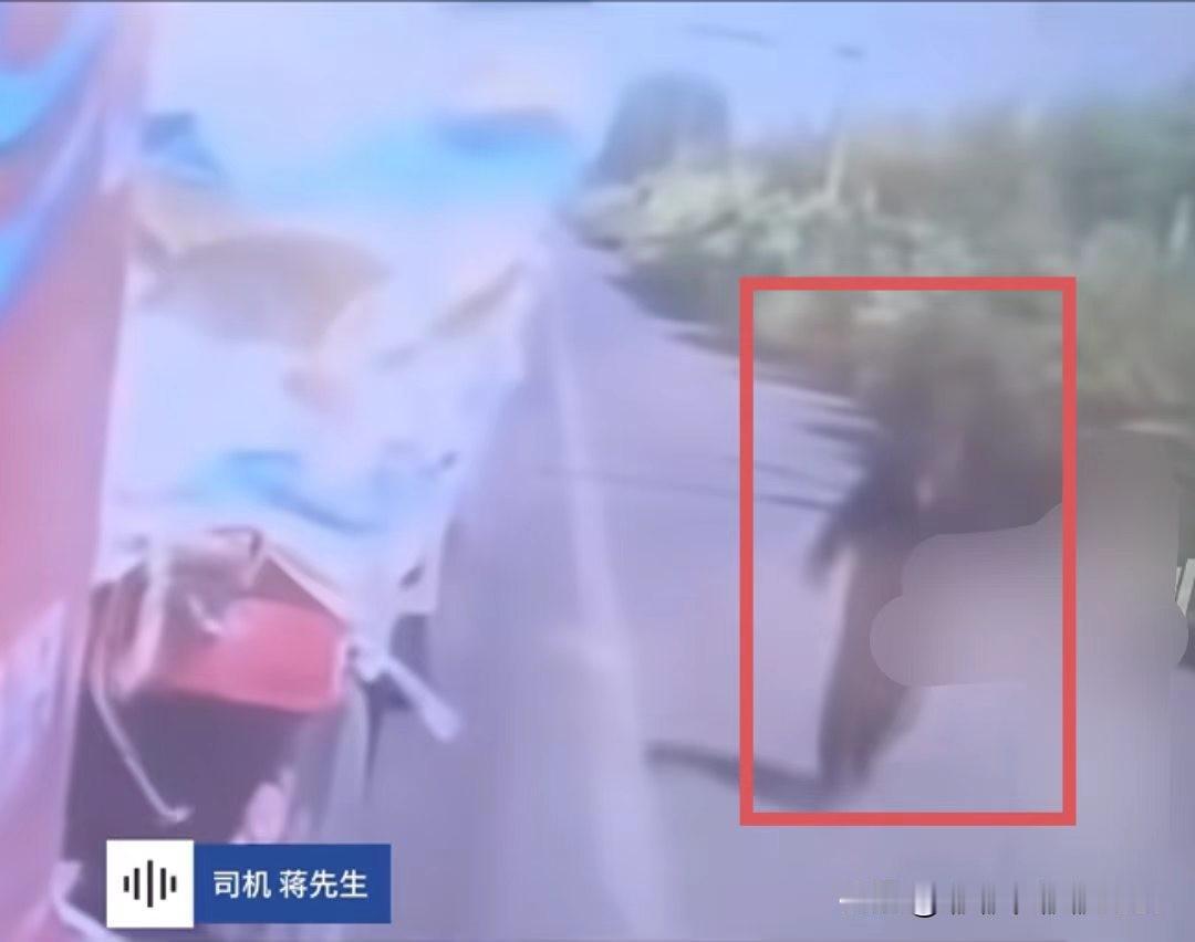 幸亏有监控，不然一个好心人又要被冤枉死了！

5月31日，货车司机蒋先生在河北唐