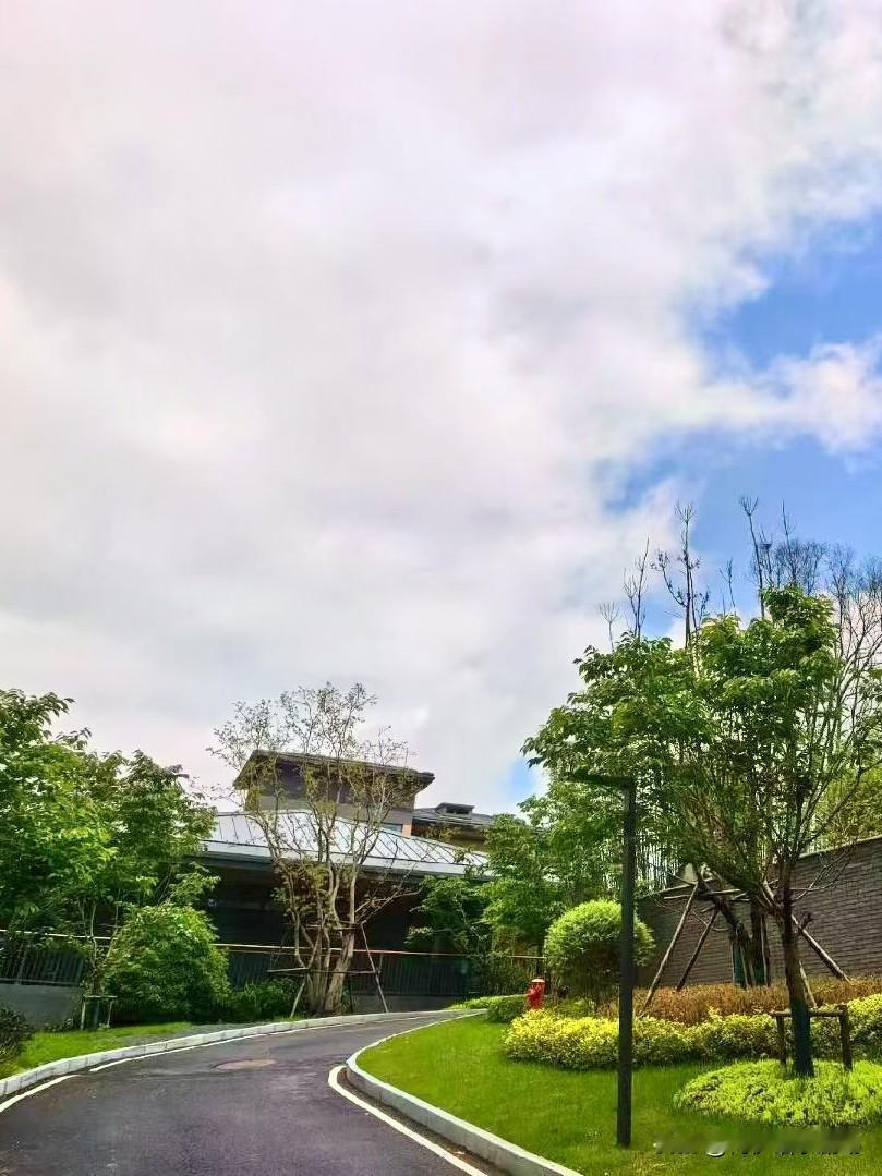 想象一下，脚步节奏踩着云彩，那感觉就像进入了梦幻之境。仿佛每一步都踏在软绵绵的云