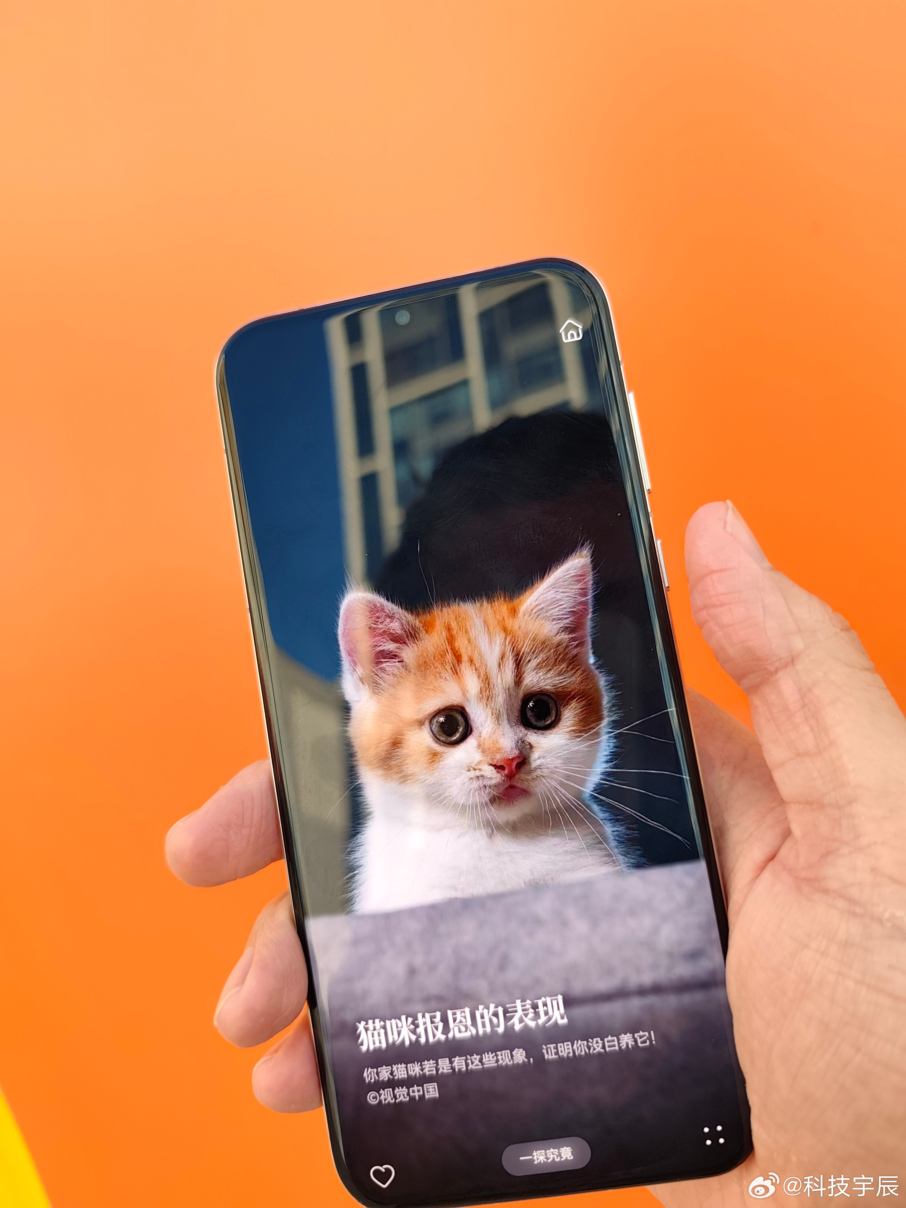 华为 Pura70 Pro 的超聚光微距长焦挺有意思，5cm 近摄能拍清花瓣纹理