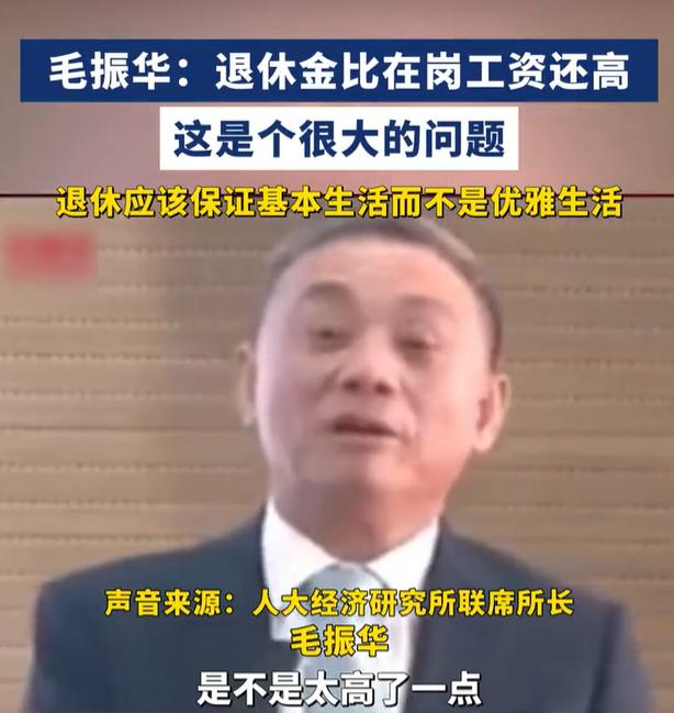 毛振华：当前退休金与在岗工资相比较高，这是个很大的问题，农村一些在岗小学教师的人