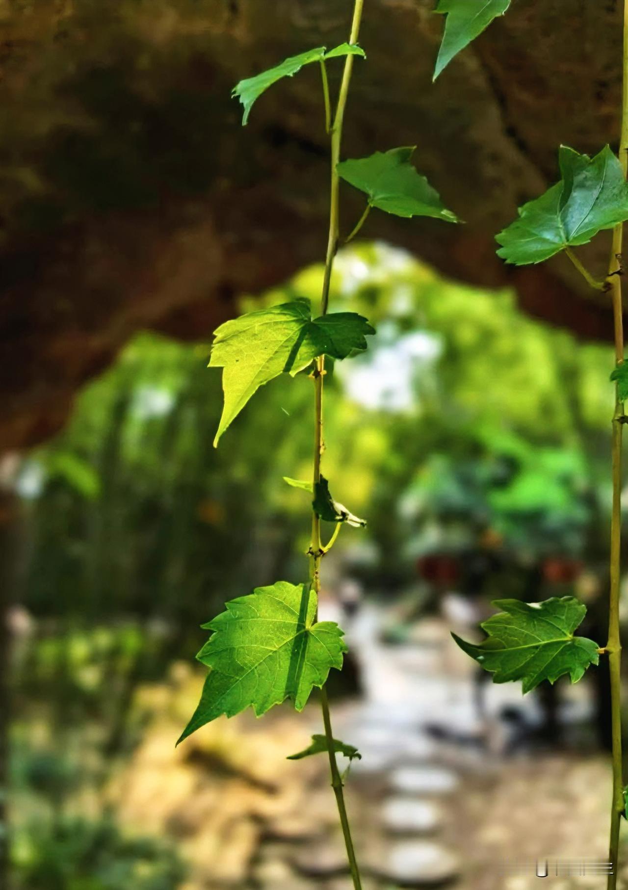 一位退休老人发出感慨：退休之后痛痛快快潇洒玩了五年，游山玩水，风花雪月，折腾一圈