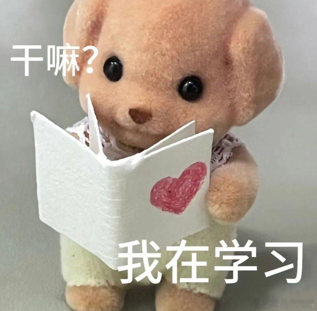 #韩语专业生就业方向#终于找到了属于自己的就业方向啊，这好笑程度实在是有点超标了