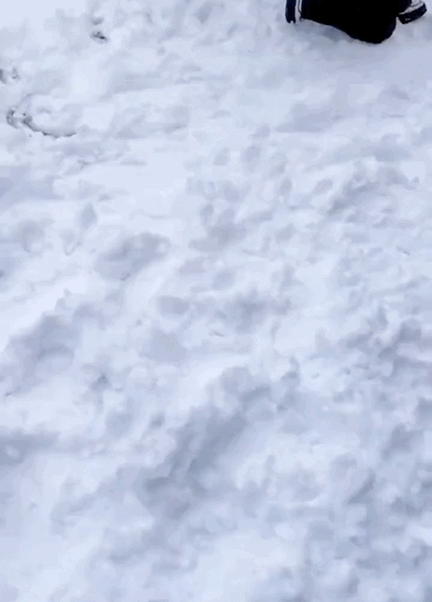 #晒晒你随手的冬日美景#