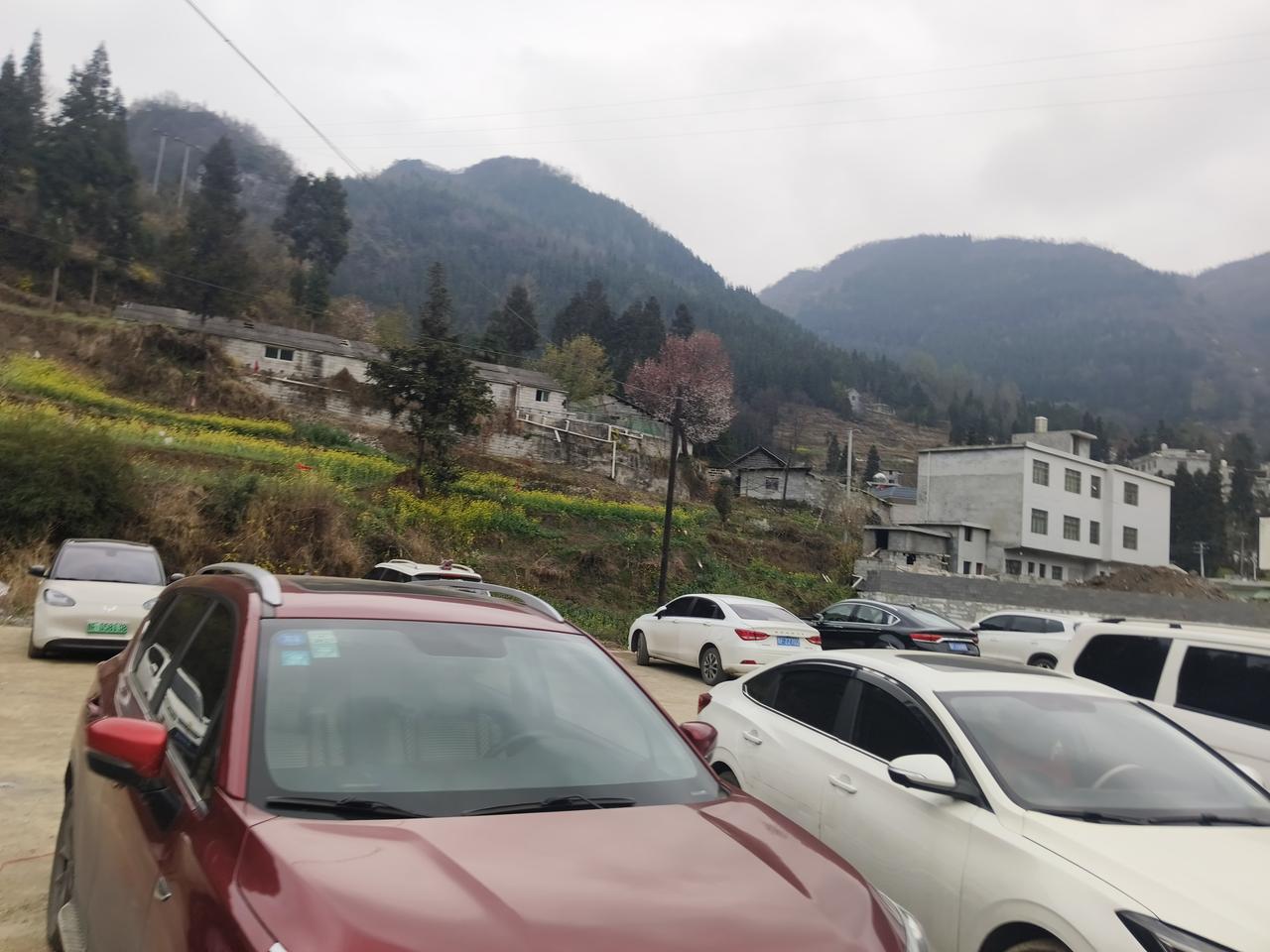 拉夫罗夫说:俄罗期不是纸老虎；欧盟这群猪:从欧盟领空发射无人机