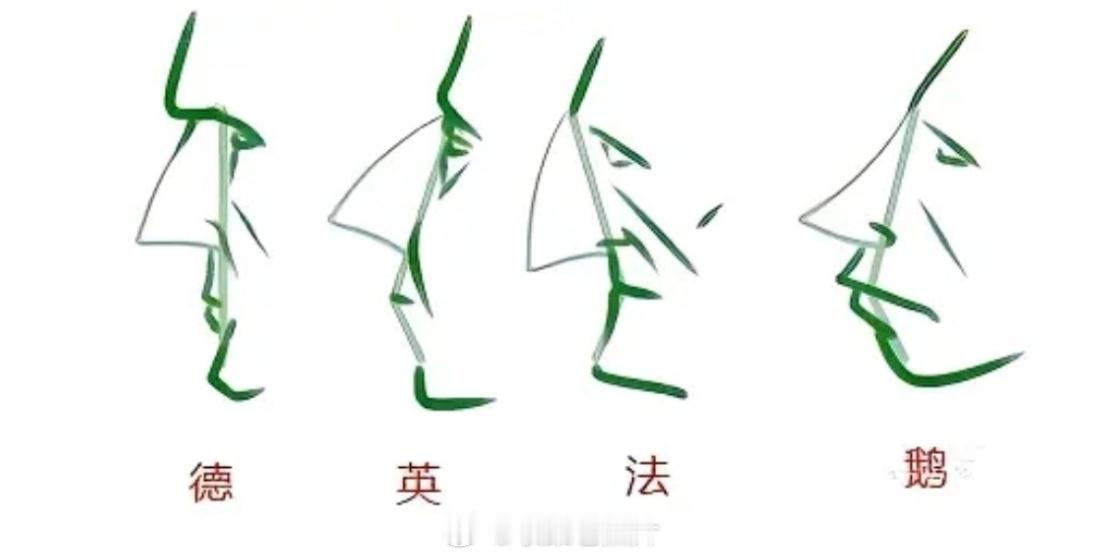 冷知识：教你如何区分欧洲人种。  