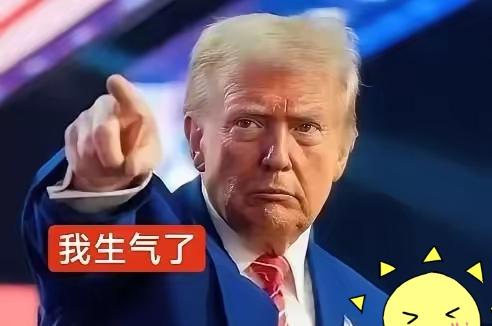 白宫晚宴突发枪声！
 2026年4月26日，美国白宫记者晚宴现场传出枪声，美国总