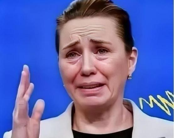 丹麦政府痛恨中国，丹麦的外交大臣拉斯穆森：过去不允许中国对格陵兰岛投资，现在不会