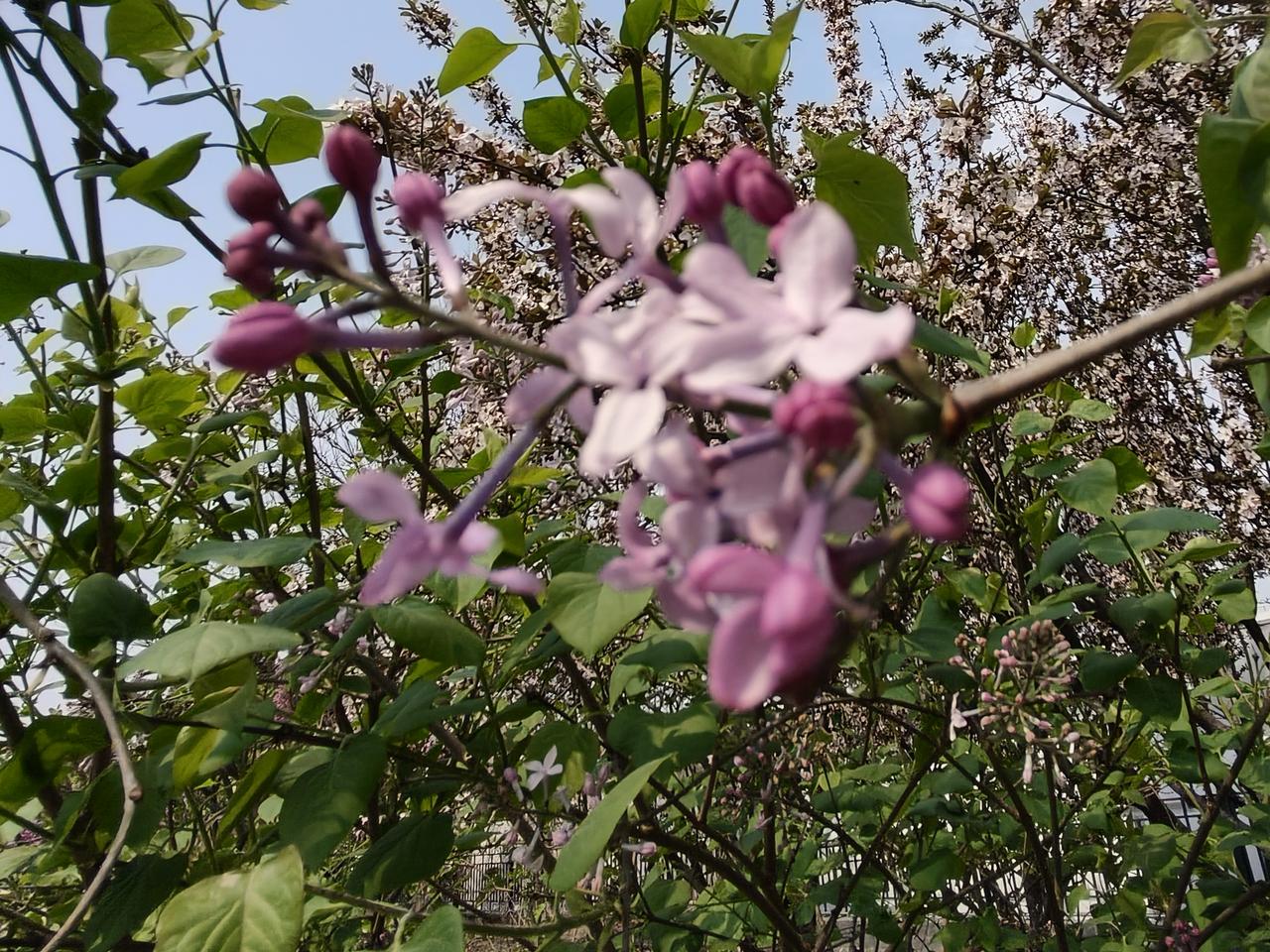 继续加油，世上无难事，就怕心不专！
      看看花儿都开了，还在等什么，一个