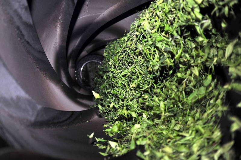 想把喝茶的好处发挥到最大，选茶很关键，想提神消油选绿茶、生普、乌龙；想养胃暖身就