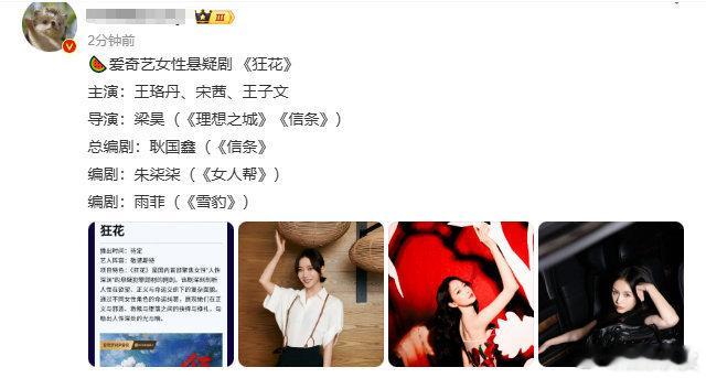 爱奇艺女性悬疑剧狂花🍉 王珞丹宋茜王子文或演爱奇艺女性悬疑剧《狂花》 ​​​