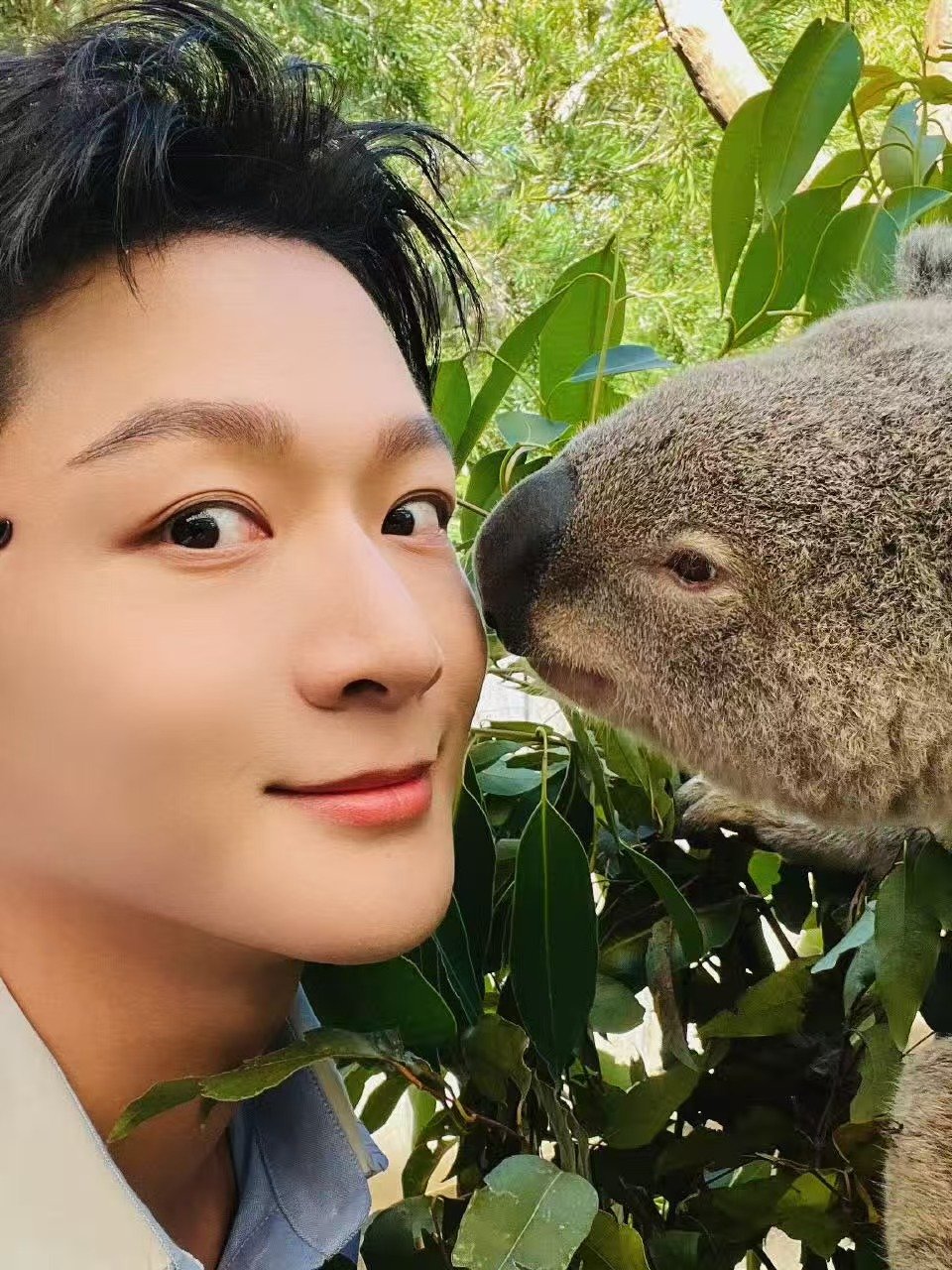 张晚意和考拉有点暧昧了张晚意考拉有点暧昧了 这个距离没到过～ 