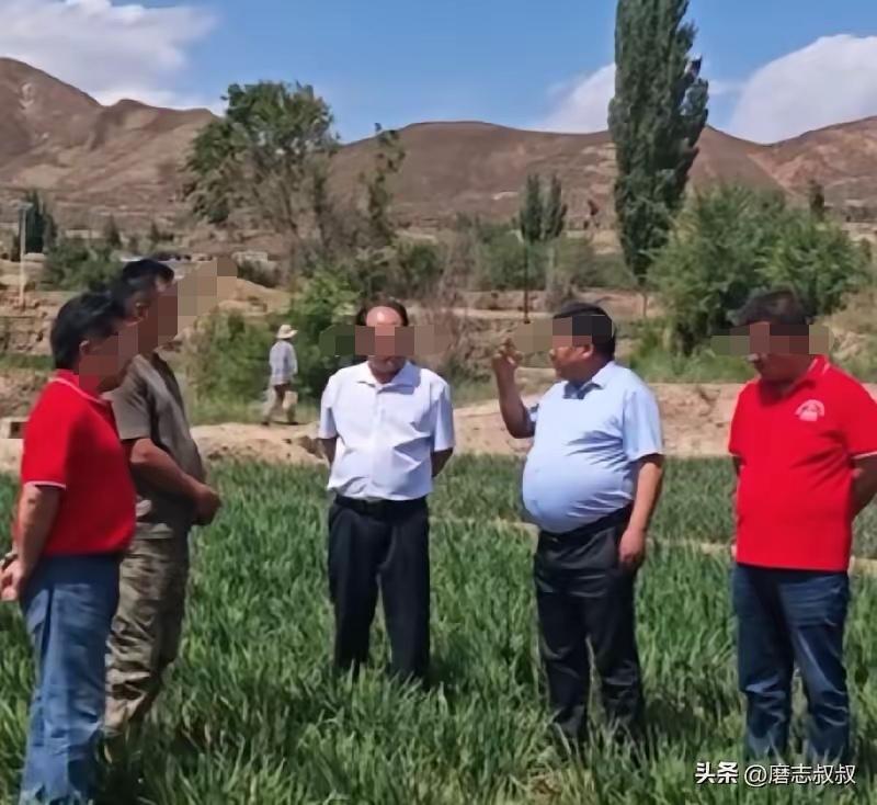 据曝这张照片是甘肃的，背景也像。

几个人是站在麦地里还是？

如果是麦地，还好