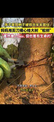 你只管善良，福报就在路上……
女子一家去钓鱼，孩子发现树根处有铁丝捆绑，他说：“