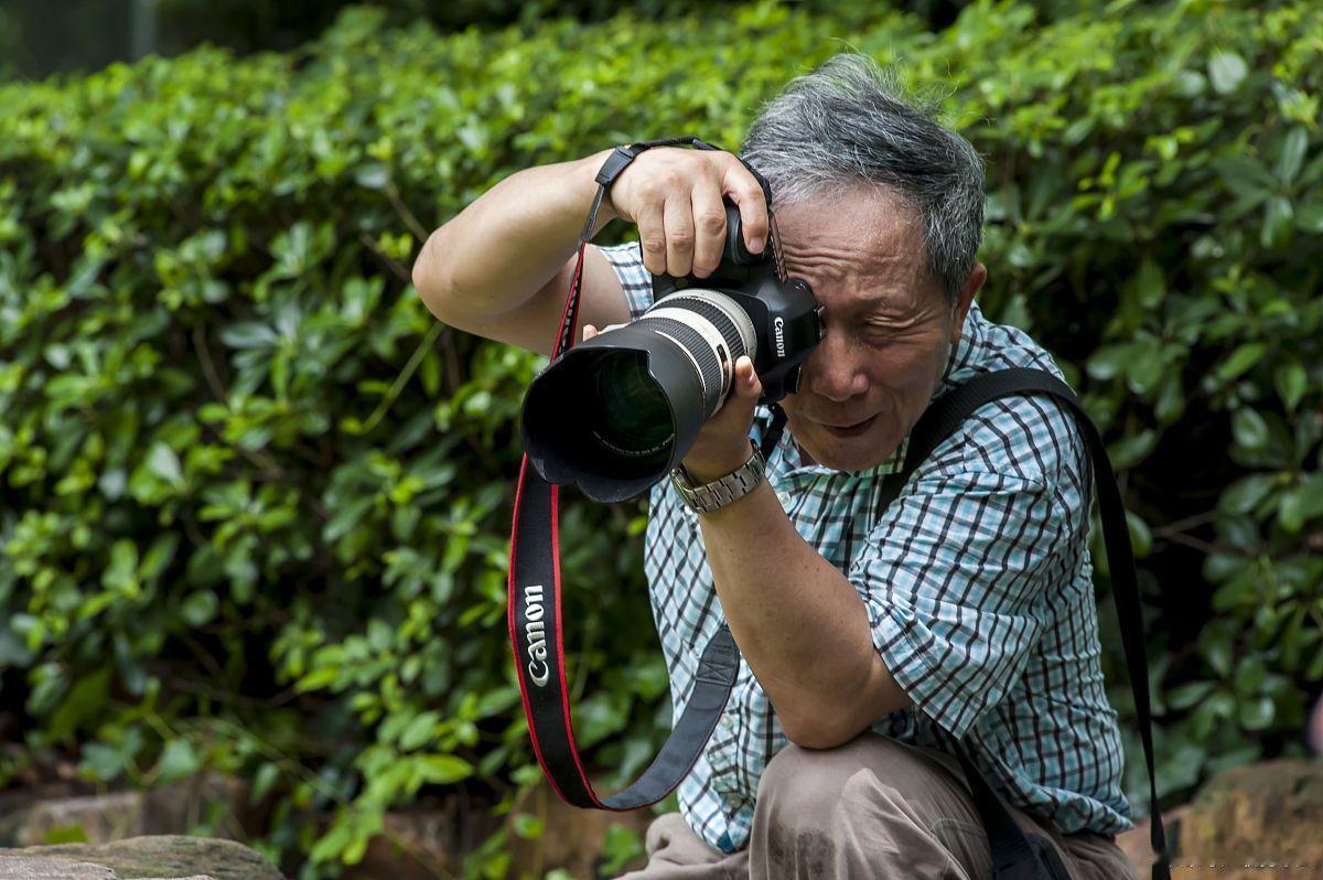拍花卉，光圈对景深起到至关重要的作用。我们在拍摄花卉时，为了追求艺术，把花卉拍得