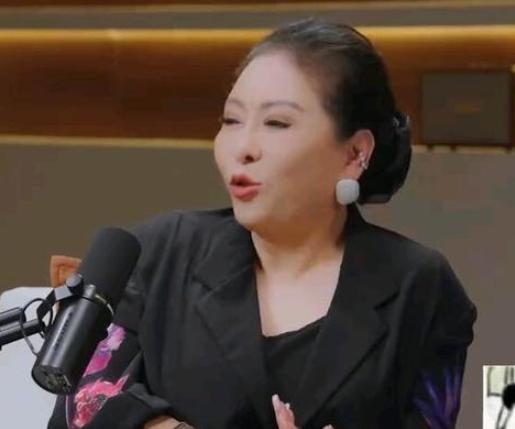 陈鲁豫与向太陈岚的这次深度对话，发生在2026年8月24日播出的播客节目《陈鲁豫