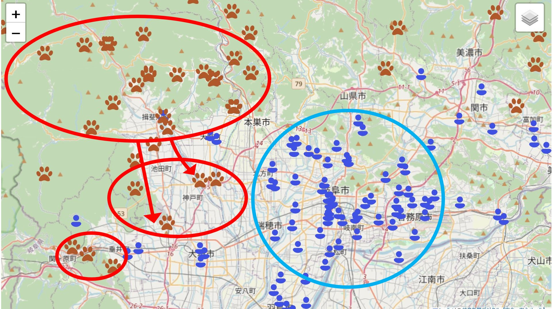 🐻的包围圈已经建立 