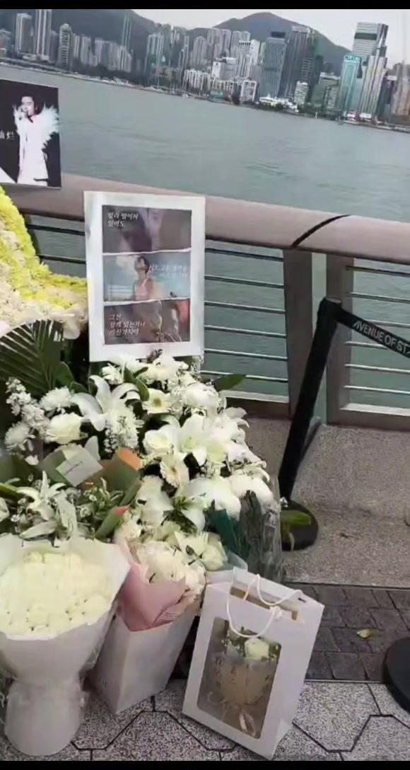 春风掠过维多利亚港，星光大道上熟悉的手印，被万千柔情捧来的鲜花轻轻覆盖。二十三年