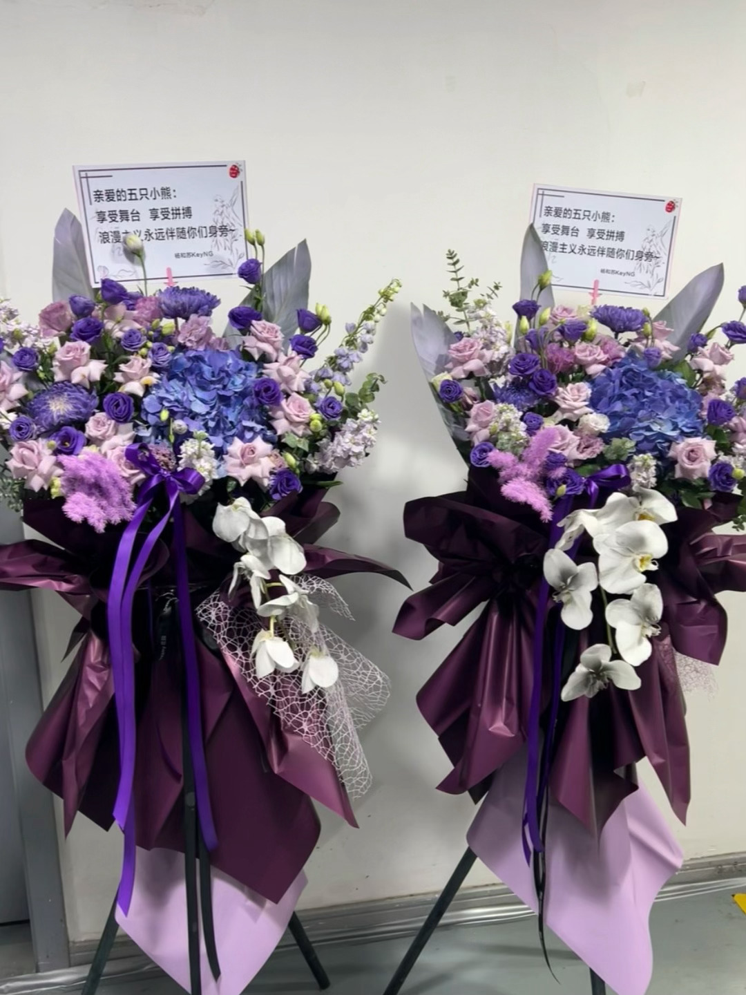 苏新皓网盘新增了两个花篮感谢文件「杨和苏和博哥（可能是黄誉博）」用心拍下花篮、懂