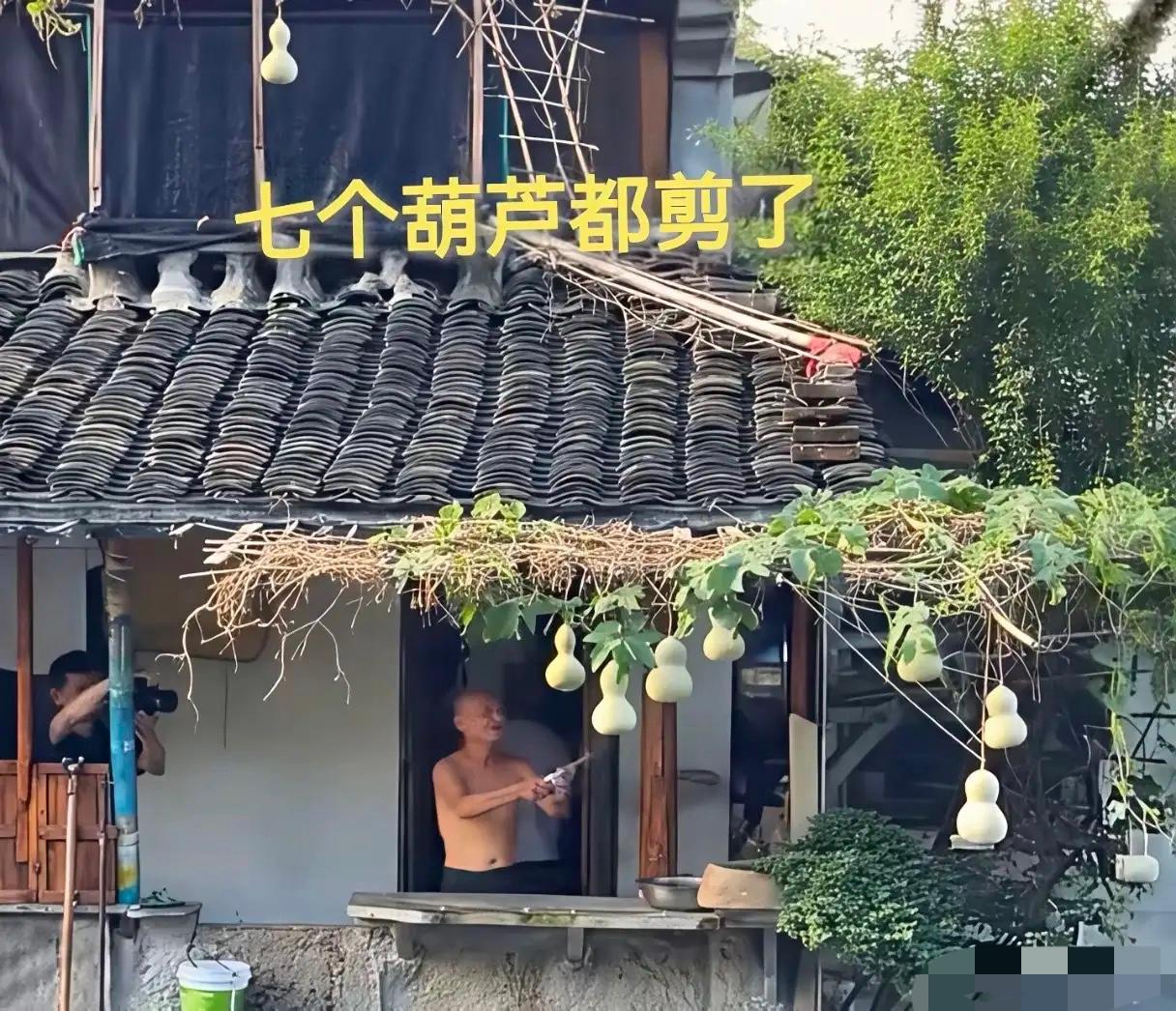 本来是一件很温暖的事，可大批博主蜂拥而至之后，各种越界行为接踵而来。

补光灯直