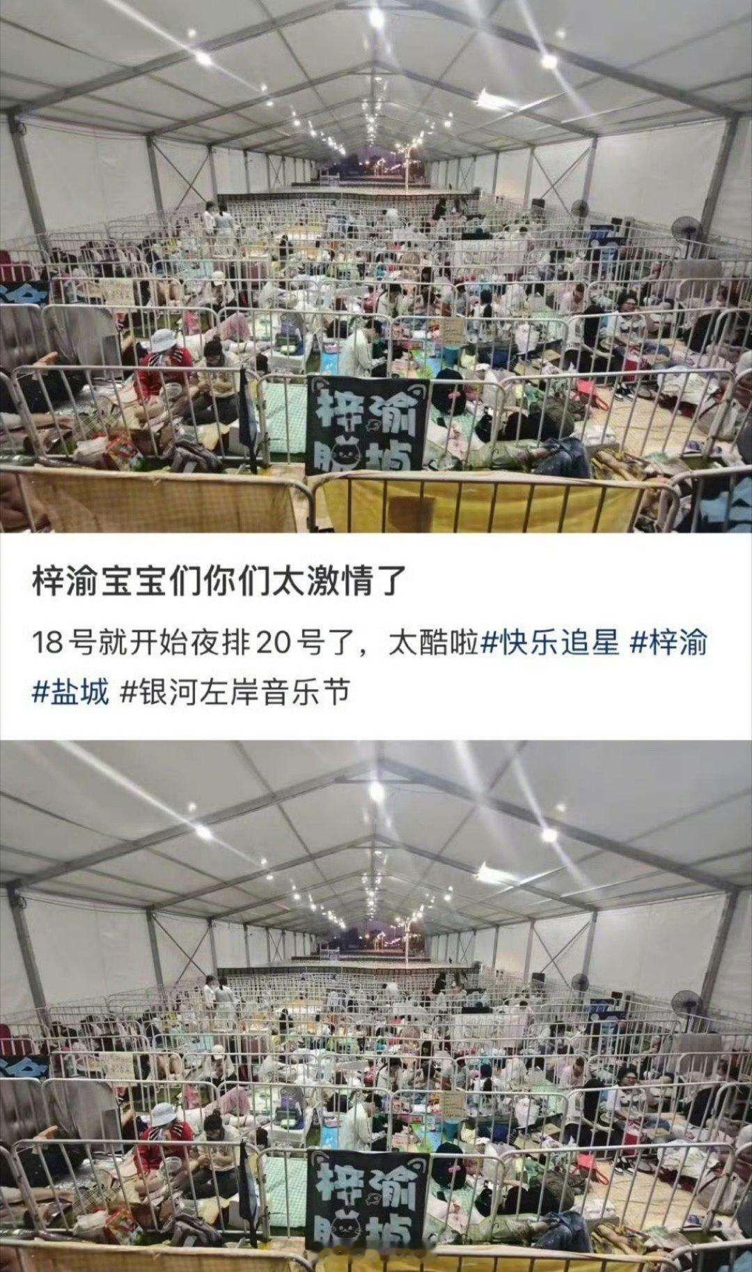 梓渝是觉得粉丝去夜排去忍着酷暑去看他[可爱]这些都给他带来了困扰吗？梓渝写小作文