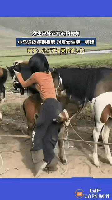 这匹马怎么啦？怎么总是玩命的闻添那个部位？