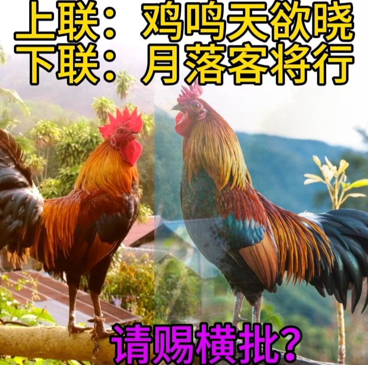 上联：鸡鸣天欲晓
下联：月落客将行
请君赐横批？