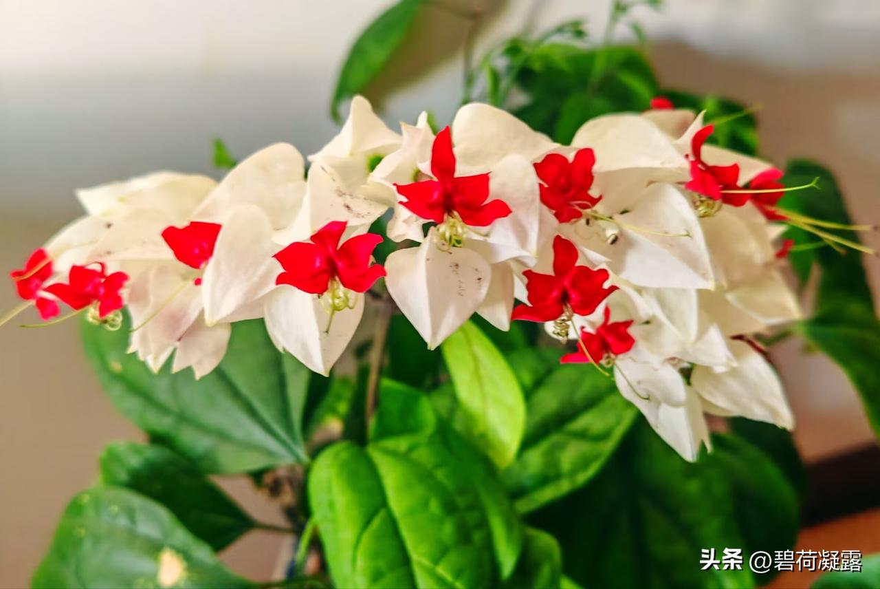 我们深知生活不能事事如愿，所以不要去好高骛远，努力之后的选择是顺其自然。 心态平