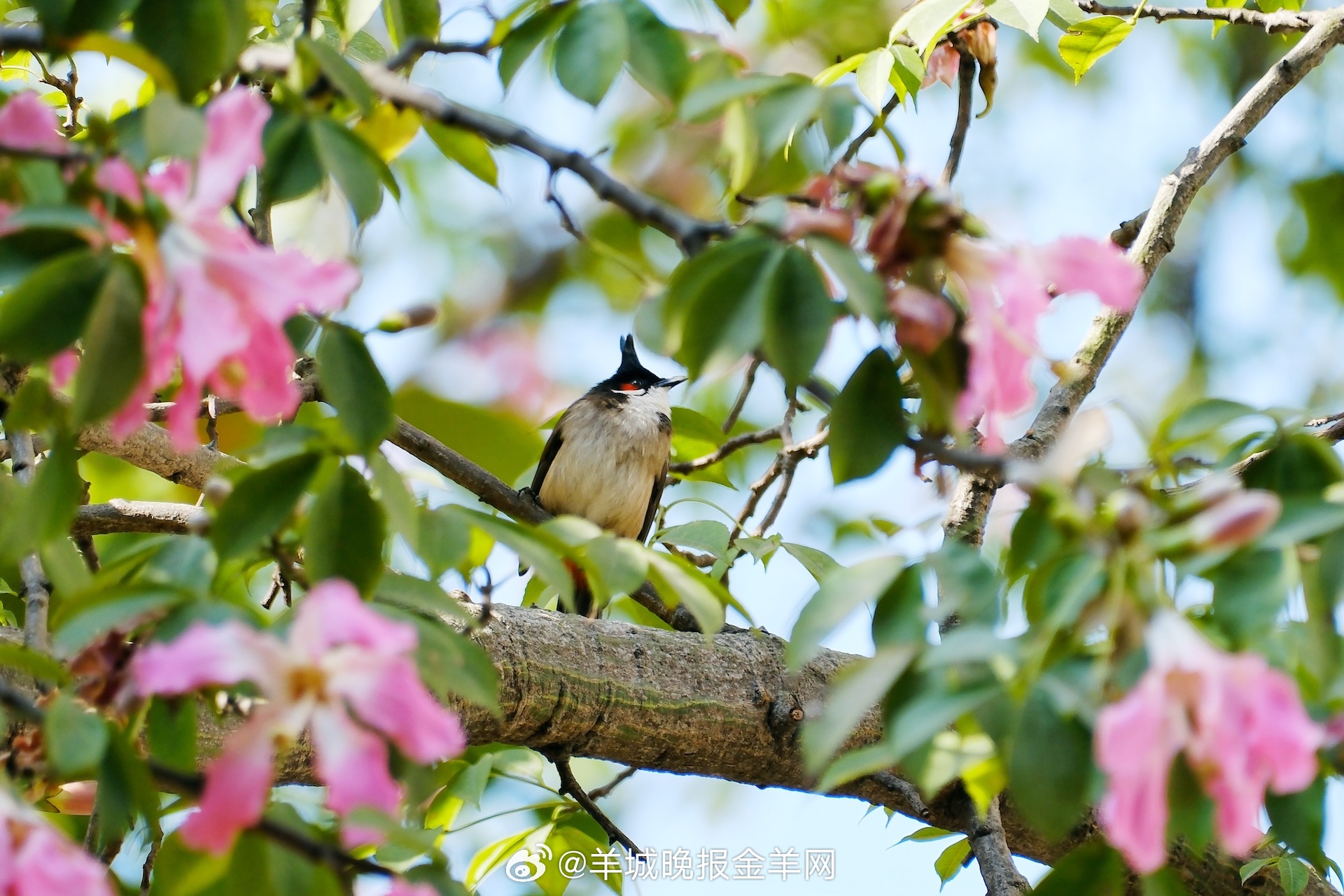 #早安#从来没有一蹴而就的成功，只有日复一日的坚持。愿你对每件热爱的事都能保持专