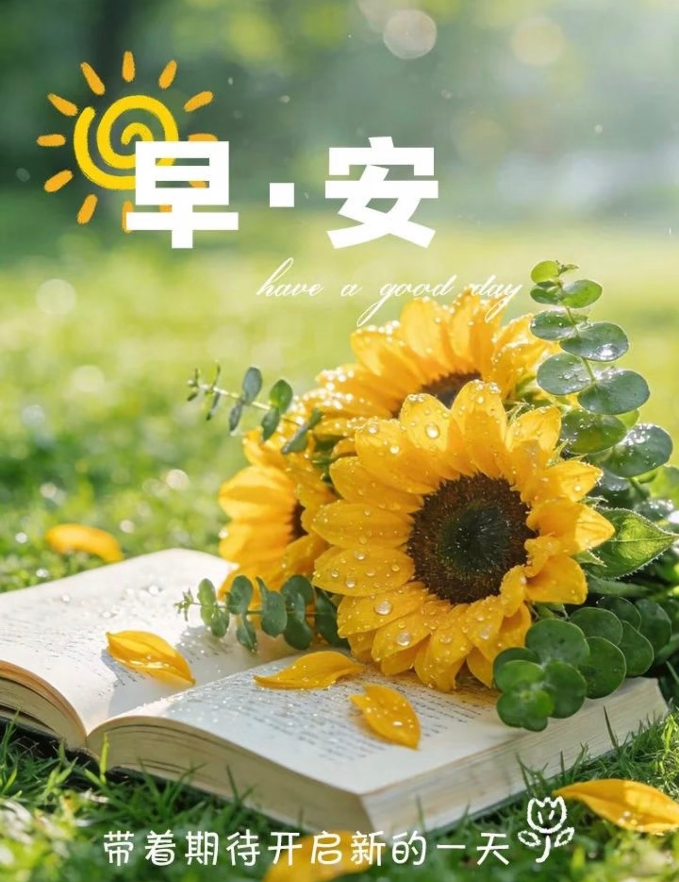 认真生活温柔向上，平凡日子满是欢喜，早安